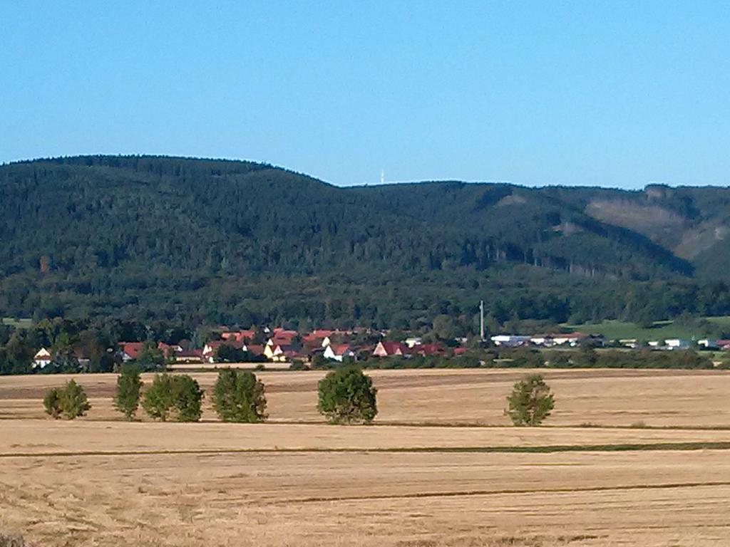 Ferienwohnung Osterbrink Ilsenburg Exteriér fotografie